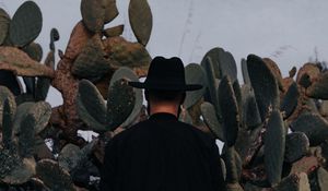 Preview wallpaper man, hat, cactus, alone, moon