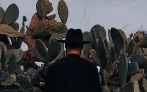 Preview wallpaper man, hat, cactus, alone, moon