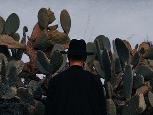 Preview wallpaper man, hat, cactus, alone, moon