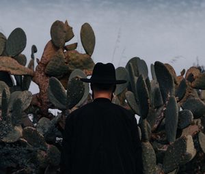 Preview wallpaper man, hat, cactus, alone, moon