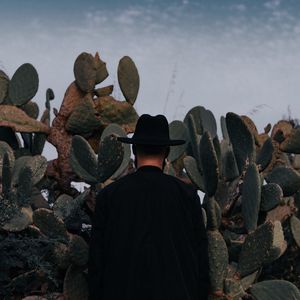 Preview wallpaper man, hat, cactus, alone, moon