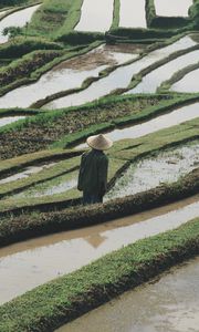 Preview wallpaper man, hat, rice fields, fields, water