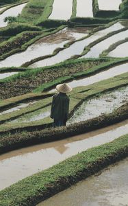 Preview wallpaper man, hat, rice fields, fields, water