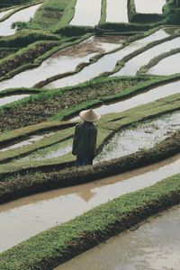 Preview wallpaper man, hat, rice fields, fields, water