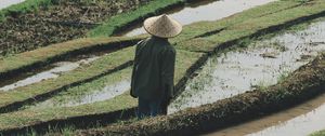 Preview wallpaper man, hat, rice fields, fields, water