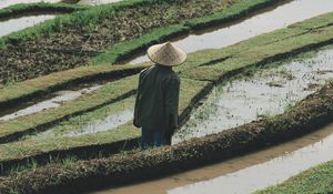 Preview wallpaper man, hat, rice fields, fields, water