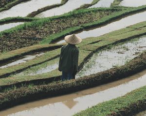 Preview wallpaper man, hat, rice fields, fields, water