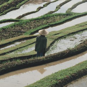 Preview wallpaper man, hat, rice fields, fields, water