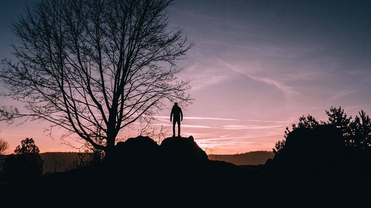 Wallpaper man, hill, trees, evening