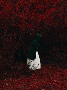 Preview wallpaper man, hood, forest, lonely, loneliness, autumn, foliage, red