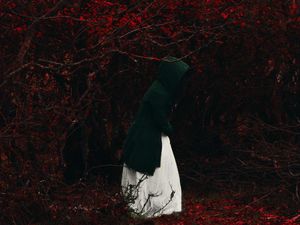 Preview wallpaper man, hood, forest, lonely, loneliness, autumn, foliage, red