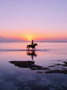 Preview wallpaper man, horse, silhouettes, ocean, coast, gili trawangan, indonesia