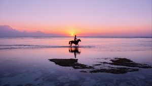 Preview wallpaper man, horse, silhouettes, ocean, coast, gili trawangan, indonesia