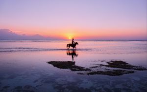 Preview wallpaper man, horse, silhouettes, ocean, coast, gili trawangan, indonesia