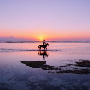 Preview wallpaper man, horse, silhouettes, ocean, coast, gili trawangan, indonesia