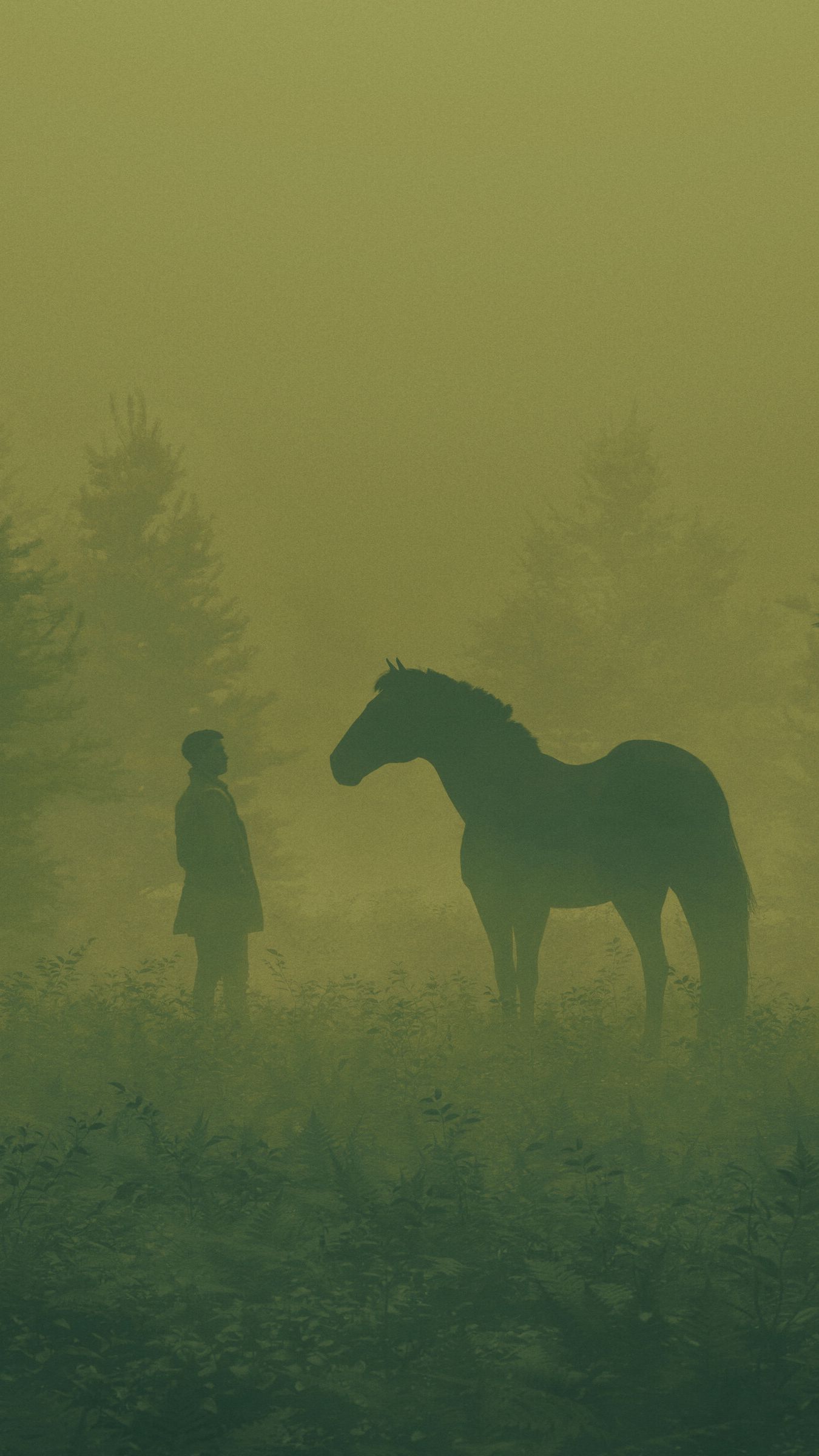 1350x2400 Wallpaper man, horse, silhouettes, fog, art