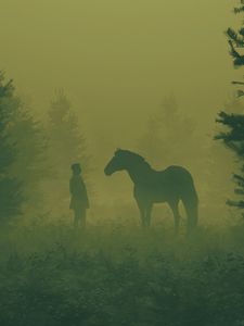 Preview wallpaper man, horse, silhouettes, fog, art