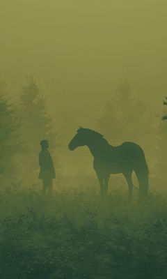 240x400 Wallpaper man, horse, silhouettes, fog, art