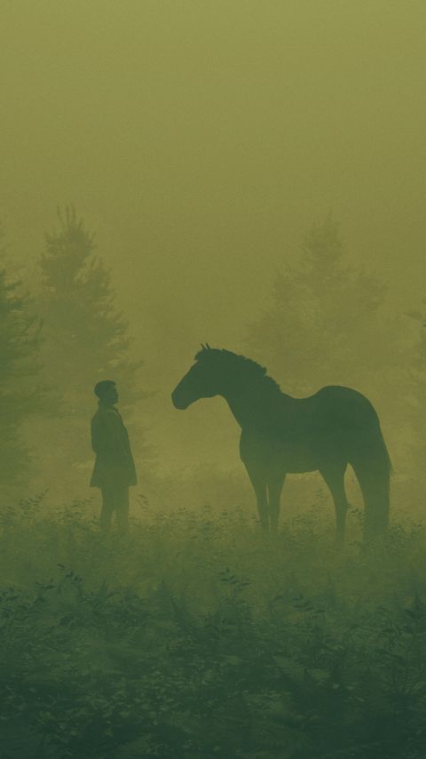 480x854 Wallpaper man, horse, silhouettes, fog, art