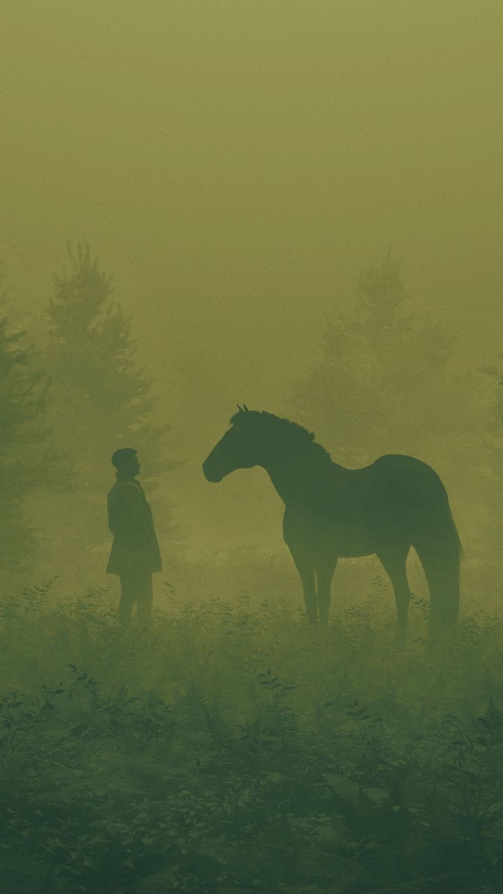 720x1280 Wallpaper man, horse, silhouettes, fog, art