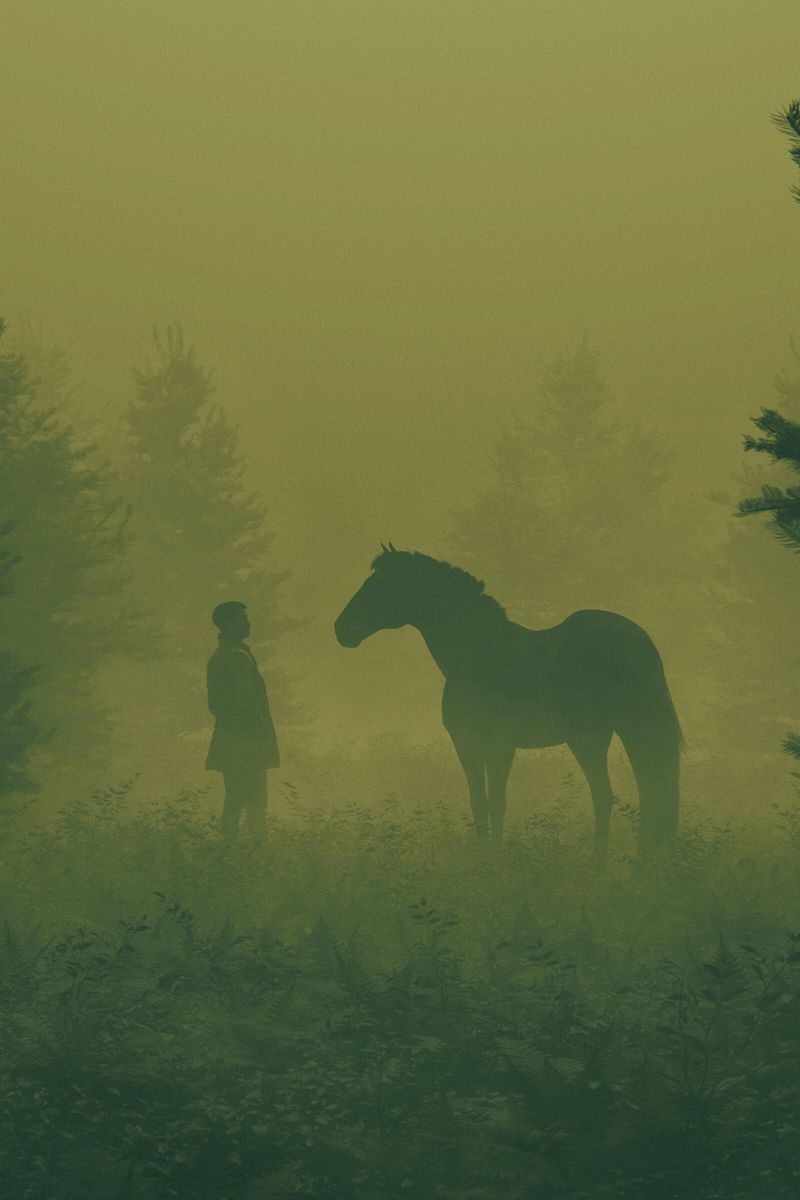 800x1200 Wallpaper man, horse, silhouettes, fog, art
