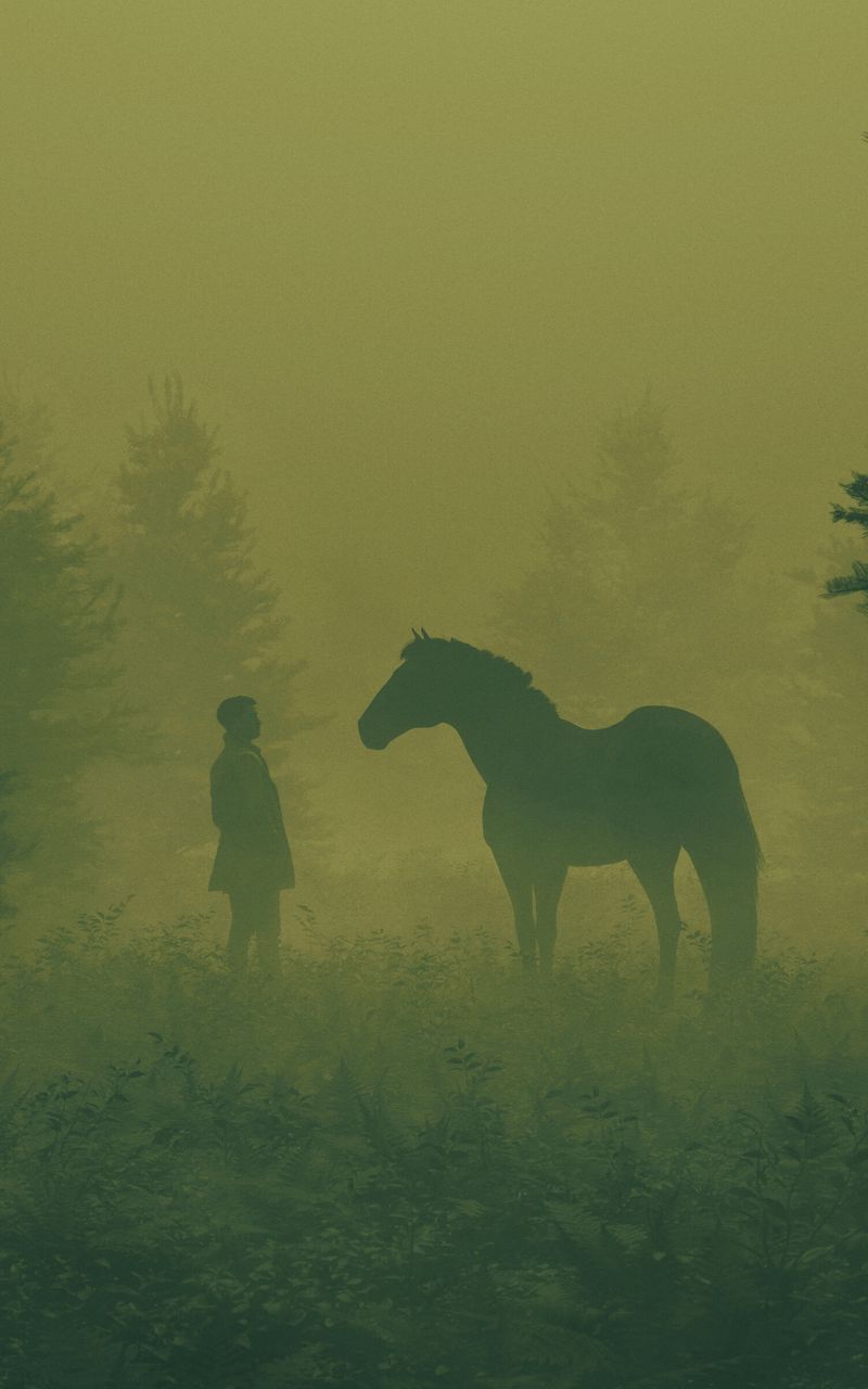 800x1280 Wallpaper man, horse, silhouettes, fog, art