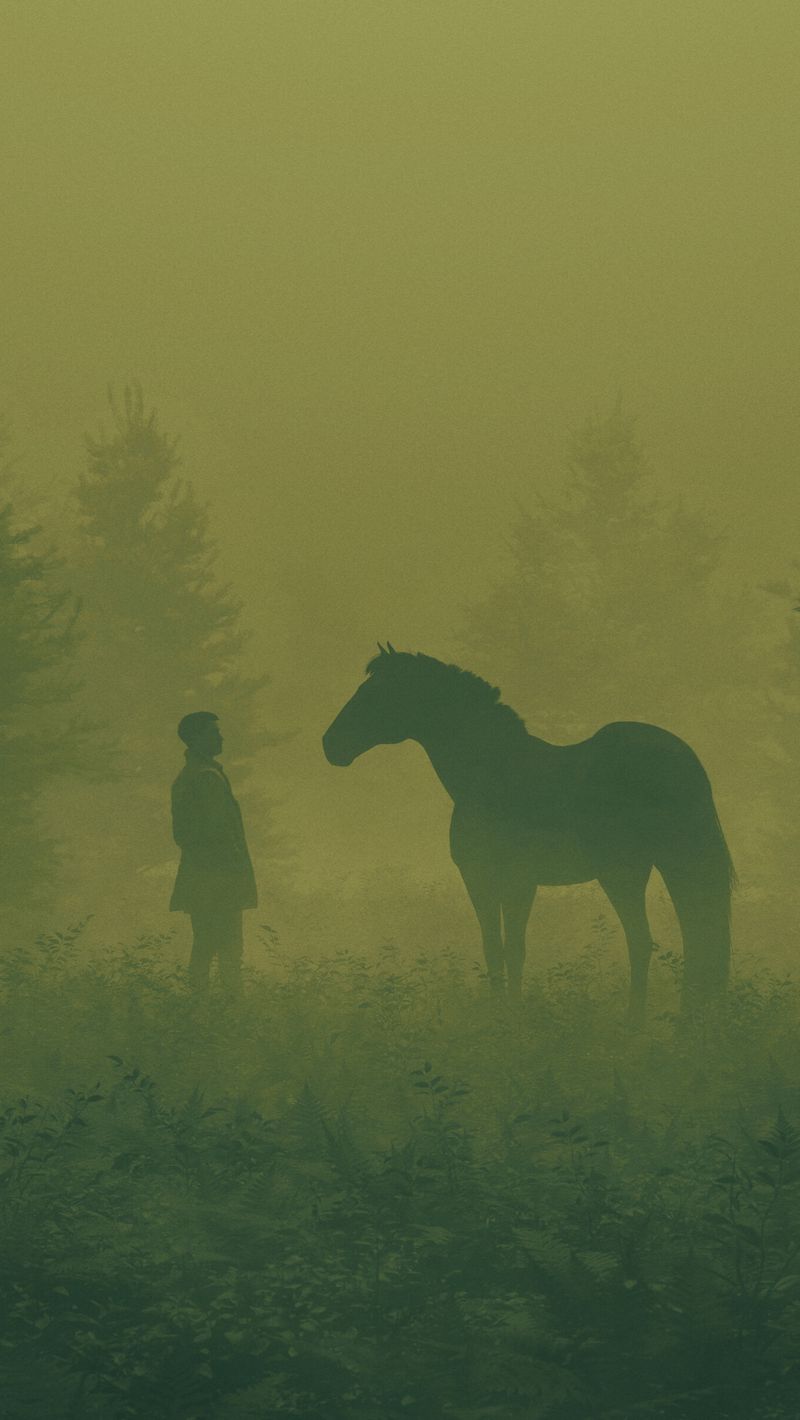 800x1420 Wallpaper man, horse, silhouettes, fog, art