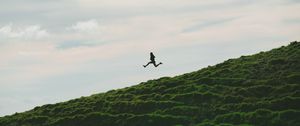 Preview wallpaper man, jump, minimalism, sky, grass