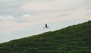 Preview wallpaper man, jump, minimalism, sky, grass