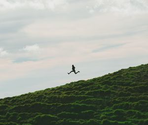 Preview wallpaper man, jump, minimalism, sky, grass