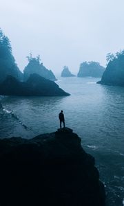 Preview wallpaper man, loneliness, alone, rocks, sea, fog