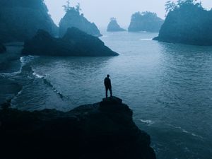 Preview wallpaper man, loneliness, alone, rocks, sea, fog