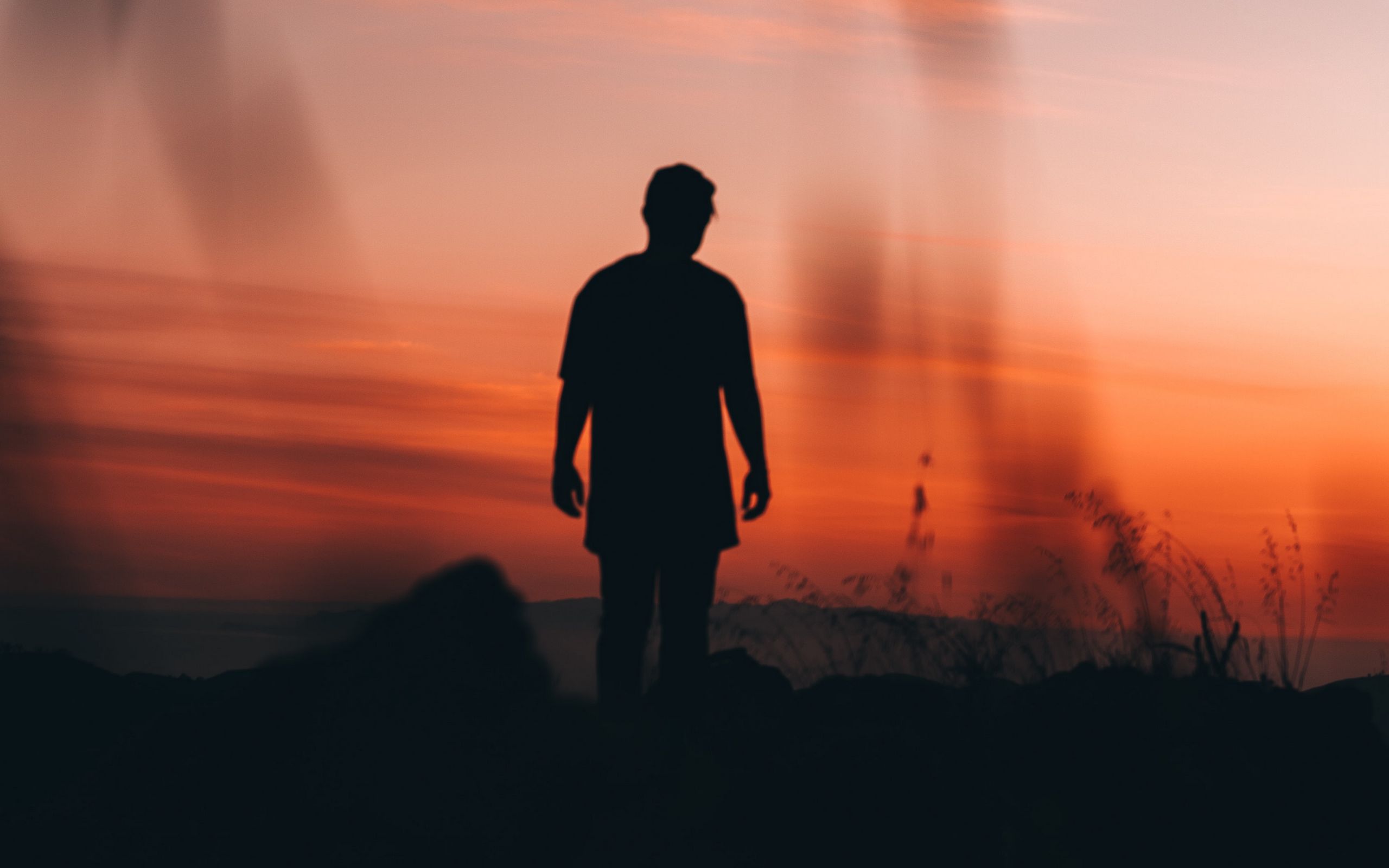 Download wallpaper 2560x1600 man, loneliness, alone, silhouette, sunset ...