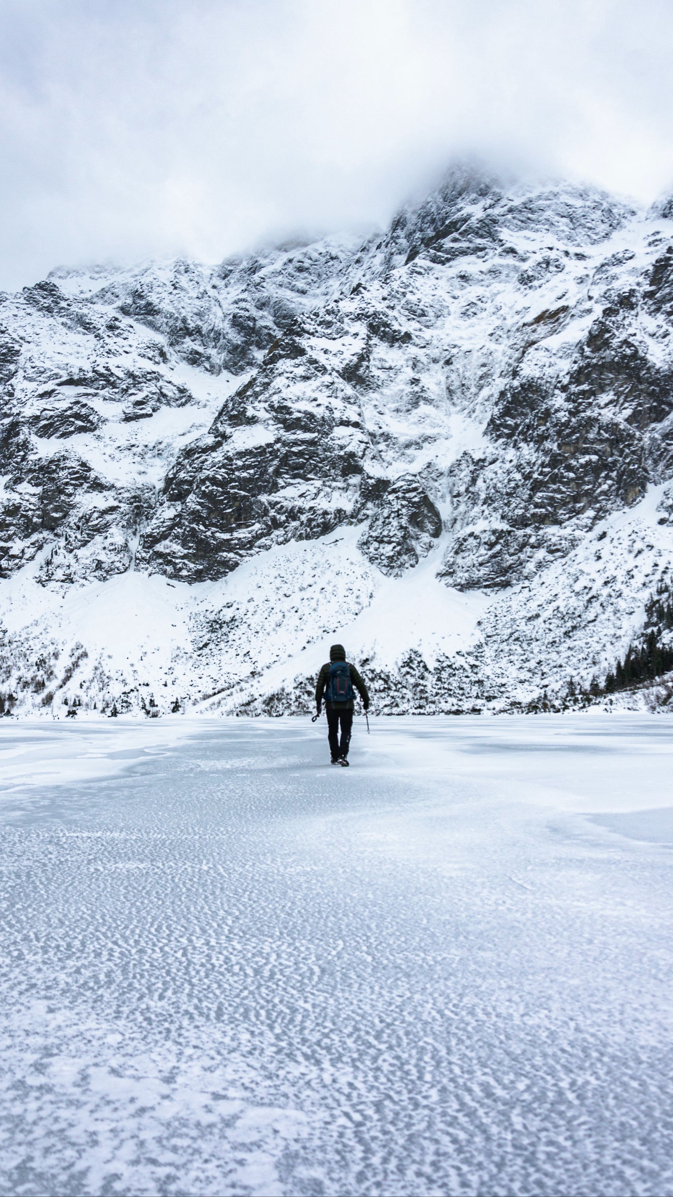 Download wallpaper 2160x3840 man, alone, loneliness, mountains, snow