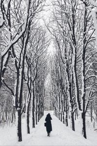 Preview wallpaper man, loneliness, winter, path, trees, sad