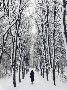 Preview wallpaper man, loneliness, winter, path, trees, sad