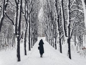 Preview wallpaper man, loneliness, winter, path, trees, sad