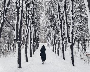 Preview wallpaper man, loneliness, winter, path, trees, sad