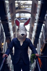 Preview wallpaper man, mask, hare, costume