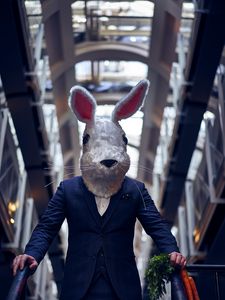 Preview wallpaper man, mask, hare, costume