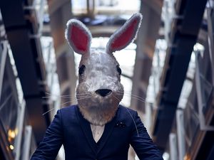 Preview wallpaper man, mask, hare, costume