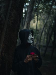 Preview wallpaper man, mask, hood, anonymous, forest