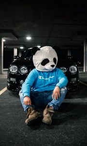 Preview wallpaper man, mask, panda, car