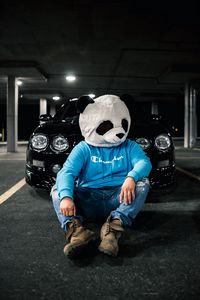 Preview wallpaper man, mask, panda, car