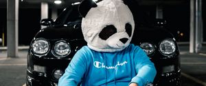 Preview wallpaper man, mask, panda, car