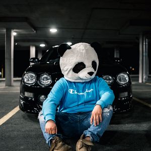 Preview wallpaper man, mask, panda, car