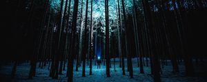 Preview wallpaper man, night, forest, light, trees