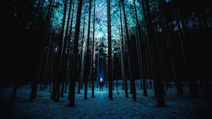 Preview wallpaper man, night, forest, light, trees