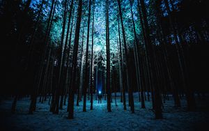 Preview wallpaper man, night, forest, light, trees
