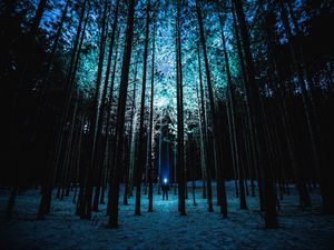 Preview wallpaper man, night, forest, light, trees